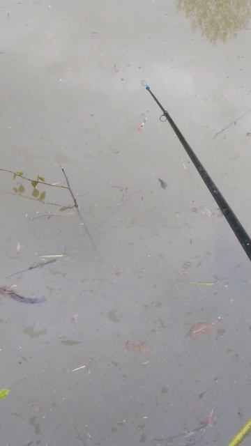 ✔Кажись🎣 клюёт🐟✔