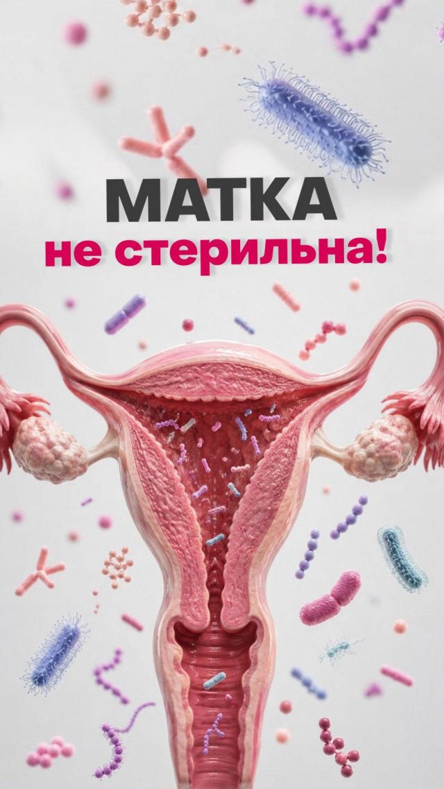 Какие микробы живут в матке? Какие микробы живут в матке?