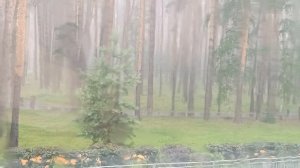 12 июля ☔ работает небесная канцелярия