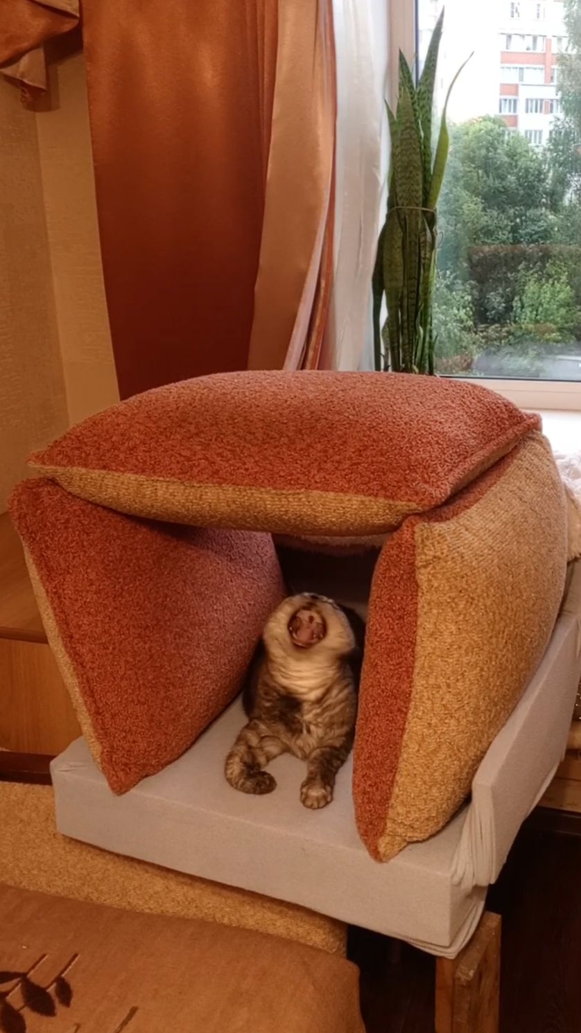 Унесённый ветром🌪️🌪️🌪️