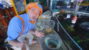 Блиппи учится кататься на скейтборде _ Обучающие видео для детей _ Blippi Russian