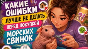 Обрезаем ноготки и рассуждаем какие ошибки лучше не делать перед покупкой морских свинок.
