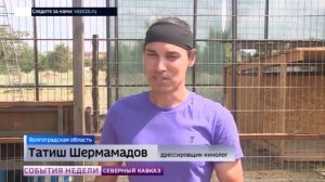 Осиротевшие медвежата из Северной Осетии обрели новый дом в Волгограде