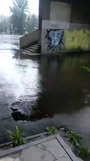 стрим всем привет