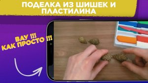 Поделка из ШИШЕК и ПЛАСТИЛИНА / ПРОСТАЯ поделка в ДЕТСКИЙ САД или ШКОЛУ