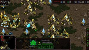 ЗАЧЕМ ОН СТРОИТ НЕКСУСЫ НА МОЕЙ БАЗЕ?! Тайсон против Шатла: Полный ХАОС в PvP - StarCraft Remastered