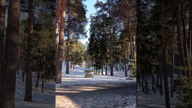 Хочу, но Хочу, но