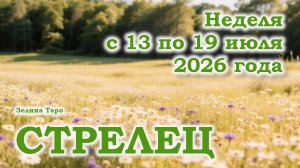 СТРЕЛЕЦ | ТАРО прогноз на неделю с 13 по 19 июля 2026 года