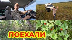 Поехали на Вездеходе со мной