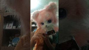 покупки для лагеря