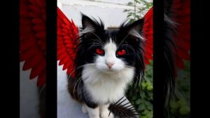 Мария Cat🔥 очень опасная