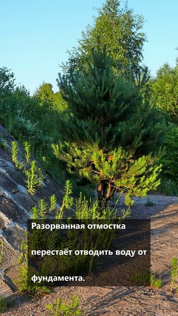 farm_d02_otmostka смотреть онлайн