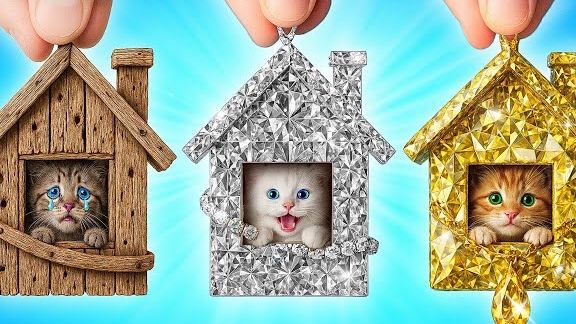 Я Спасла Бездомных Животных | Смешные Моменты смотреть онлайн