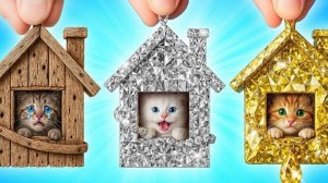Я Спасла Бездомных Животных | Смешные Моменты