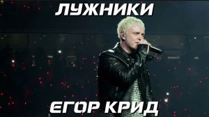 ЛУЖНИКИ ЕГОР КРИД КОНЦЕРТ🔥🎤 MALO 2.0 OG Buda,Toxi$,Мэйби Бэйби,Baby Cute,Дора,madk1d,тёмный принц