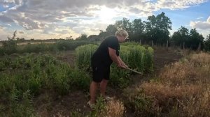 Наталья Губарева. ВЕСЬ ДЕНЬ В РАБОТЕ ⧸ ЖИЗНЬ В ДЕРЕВНЕ #villagelife