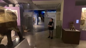 Мумия воина (XIII в.) и мамонтенок Люба (37 тыс. лет!): интересные экспонаты музея Шемановского