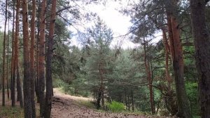 Вера в успешный успех на работе и не только