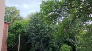 Гроза 11.07.26