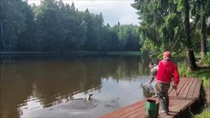 Пять осетров за час. Клёвое место, Лосиный остров.