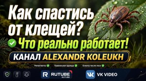 Как спастись от клещей! Что реально работает!