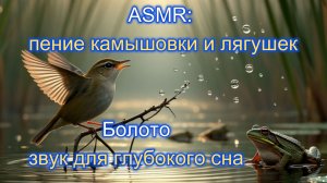 ASMR | Пение Камышовки-дроздовидной и кваканье лягушек на болоте | Звук для сна