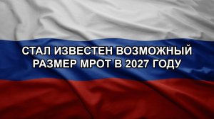 Стал известен возможный размер МРОТ в 2027 году