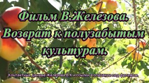 Фильм В.Железова. Возврат к полузабытым культурам.