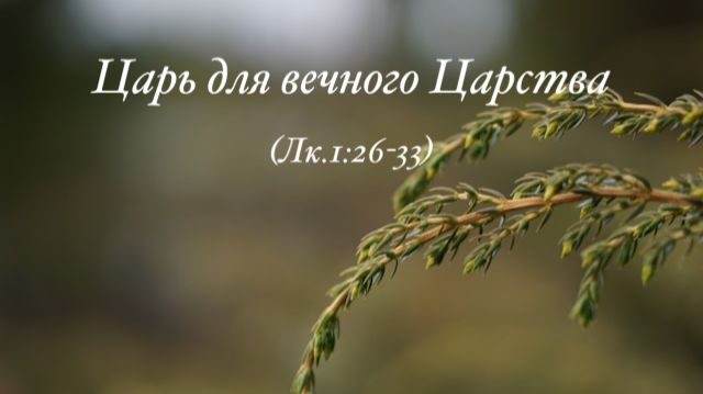 "Царь для Вечного Царства" (Лк.1:26-33) смотреть онлайн