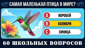 НАСКОЛЬКО ТЫ УМЁН? 60 ВОПРОСОВ НА ОБЩИЕ ЗНАНИЯ | Тест/викторина на эрудицию № 2