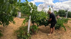 Наталья Губарева. ЖИЗНЬ В ДЕРЕВНЕ #villagelife