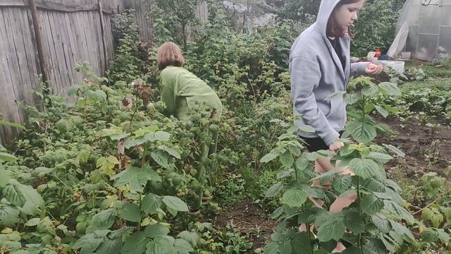 ВО САДУ🌺🍓🍒 ЛИ В ОГОРОДЕ🥔🥕ДЕВИЦЫ ГУЛЯЛИ 🚶🚶🚶💯☺️ смотреть онлайн