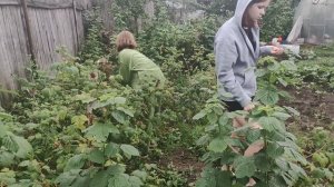 ВО САДУ🌺🍓🍒 ЛИ В ОГОРОДЕ🥔🥕ДЕВИЦЫ ГУЛЯЛИ 🚶🚶🚶💯☺️