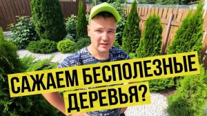 В этот раз мы не будем молчать! Показываем, как посадили 16 деревьев за раз!