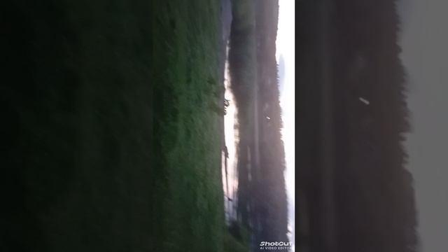 влог путешествия🚘🚗