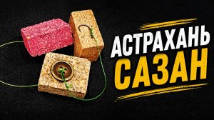 Макушатник из ПУГОВИЦЫ на Астраханского САЗАНА