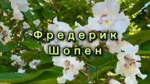 Фредерик Шопен, фантазия зкспромт, классическая музыка для души