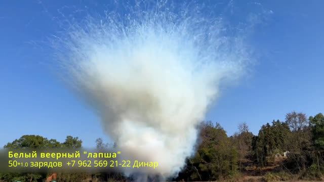 Белый веерный лапша 50 зарядов 1.0