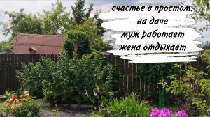 12-07-2026 ♥️ ДАЧА В СНТ ♥️