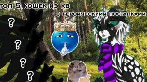 ТОП 5 КОШЕК ИЗ КВ С ГЕРОИЧЕСКИМИ ПОСТУПКАМИ