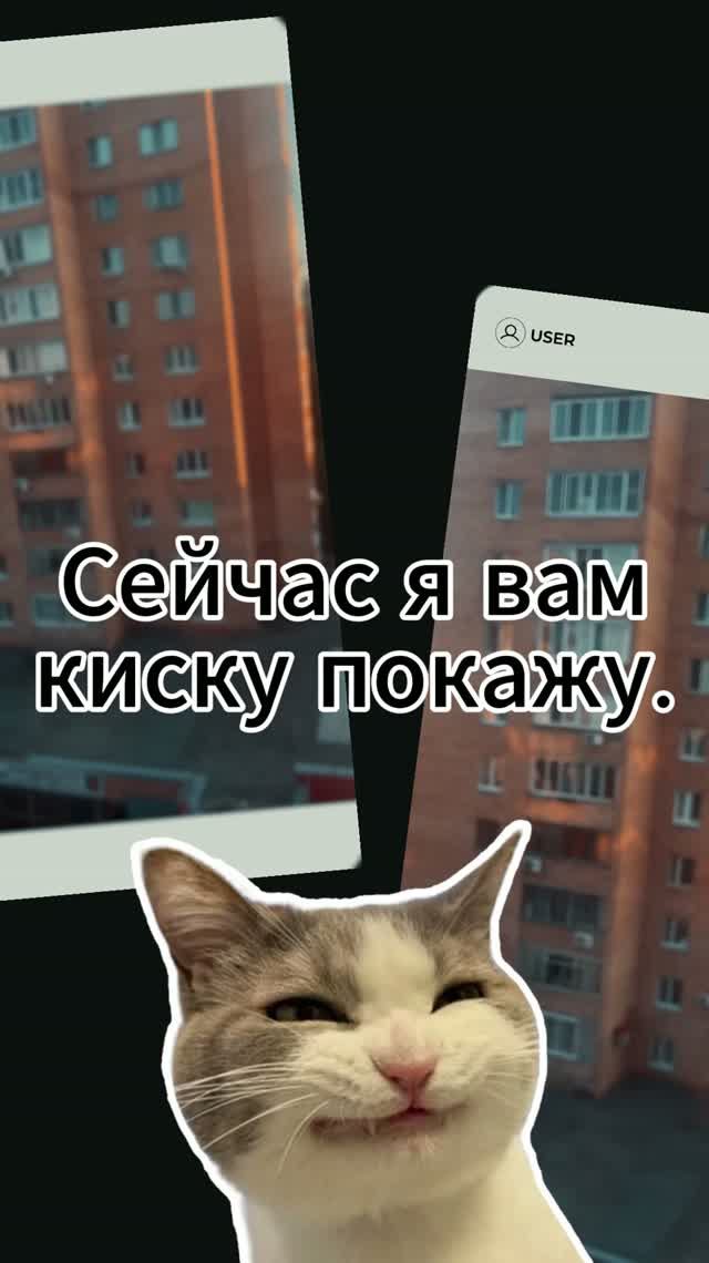 СЕЙЧАС Я ВАМ КИСКУ ПОКАЖУ. СЕЙЧАС Я ВАМ КИСКУ ПОКАЖУ.