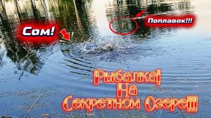 РЫБАЛКА на ПОПЛАВОК 2026! На КАРАСЕЙ и СОМА!!!
