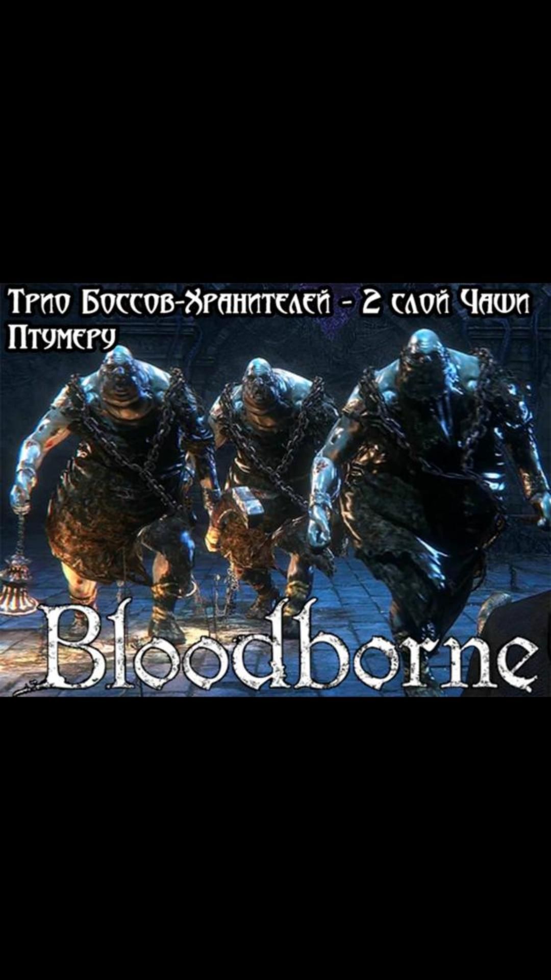 Трио Боссов-Хранителей на 2 слое Чаши Птумеру | #bloodborne #soulslike