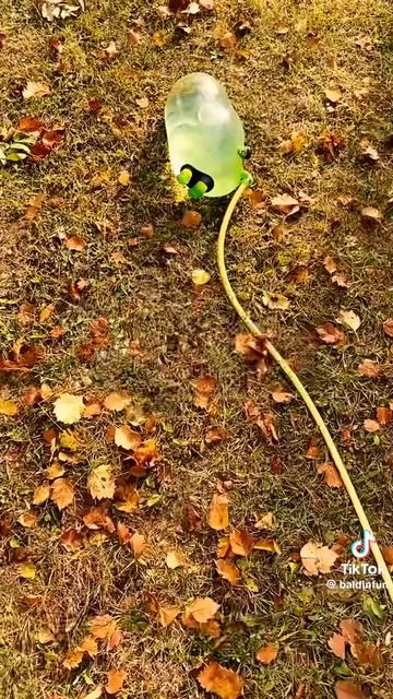 ахахахх.смешной халк