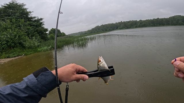 День Рыбака. Мормышинг. Рыбалка в дождик. смотреть онлайн