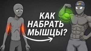КАК НАБРАТЬ МЫШЕЧНУЮ МАССУ! Вся База Роста Мышц