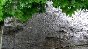 Проливной дождь в городе Вязники утром 12.07.2026