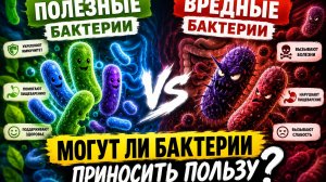 Полезные vs вредные бактерии. Могут ли бактерии приносить пользу?