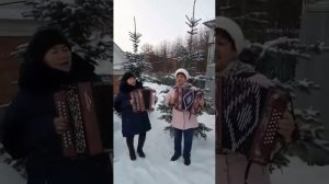 Парлы шыршылар🌲🌲🌲🌲🌲🌲