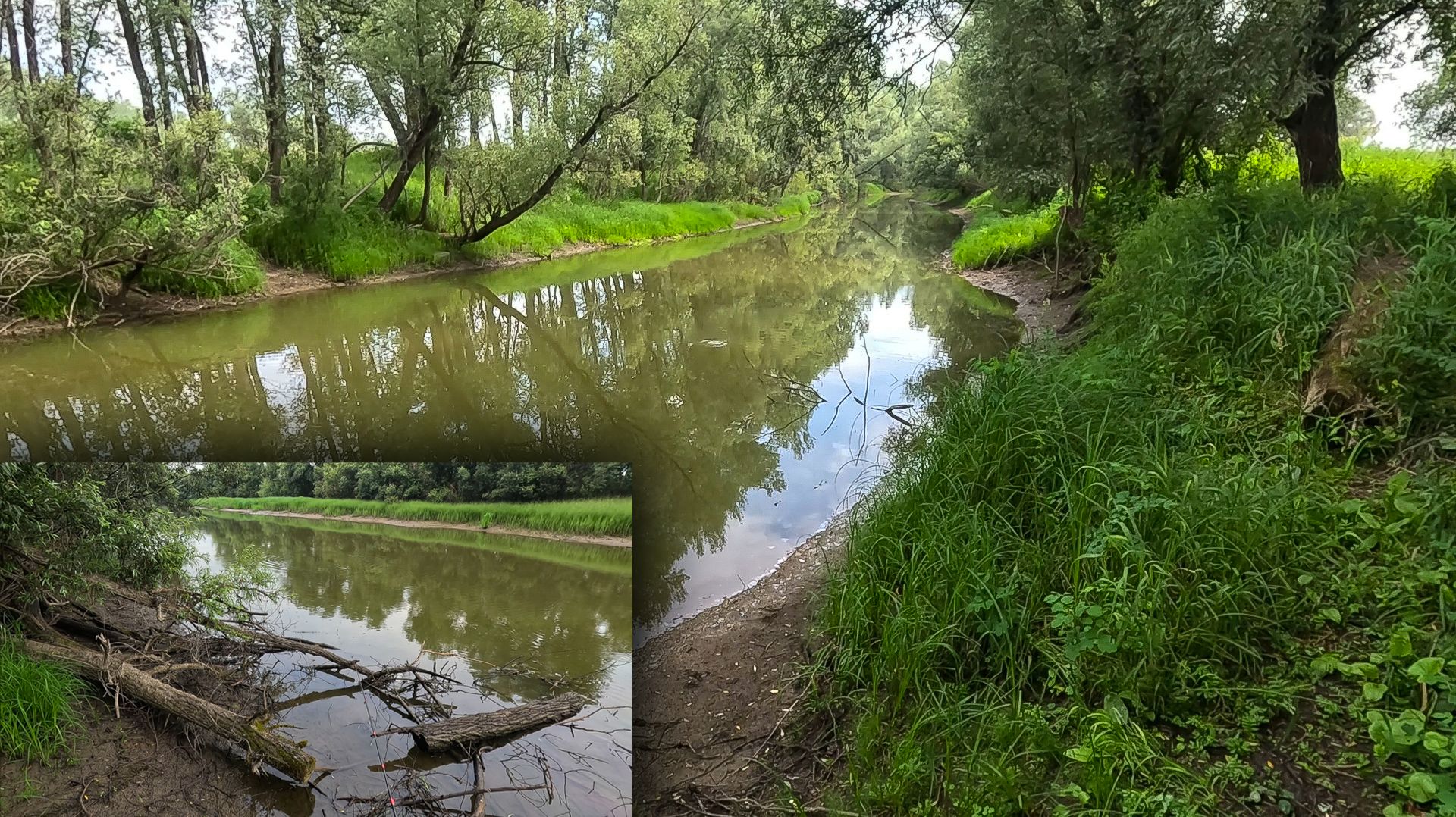РЫБАЛКА НА СТАРИЦЕ Оби.